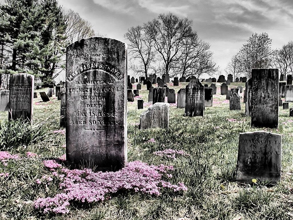 black and white photograph of a Cemetery with tombstones and colored flowers among them.